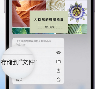 阳曲apple维修中心分享iPhone文件应用中存储和找到下载文件