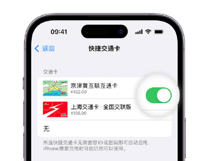 阳曲apple维修点分享iPhone上更换Apple Pay快捷交通卡手绘卡面 