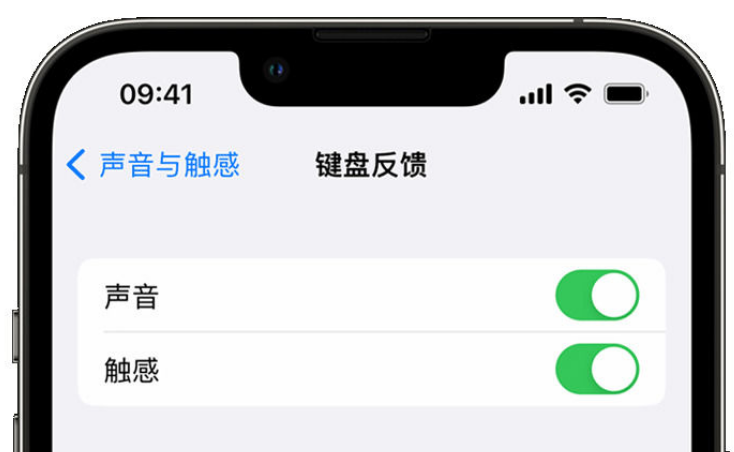 阳曲苹果手机维修分享iPhone 14触感键盘使用方法 