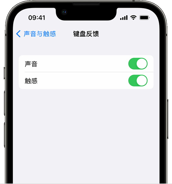 阳曲苹果14维修店分享如何在 iPhone 14 机型中使用触感键盘 