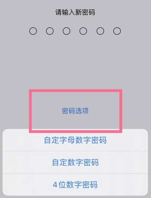 阳曲苹果14维修分享iPhone 14plus设置密码的方法 