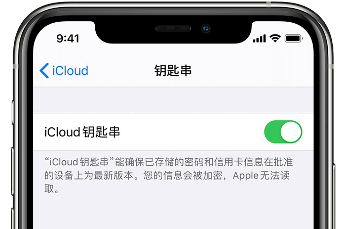 阳曲苹果手机维修分享在 iPhone 上开启 iCloud 钥匙串之后会储存哪些信息 