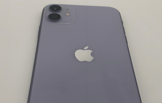 阳曲苹果11系统维修分享iPhone11手机系统崩溃无法开机如何解决 